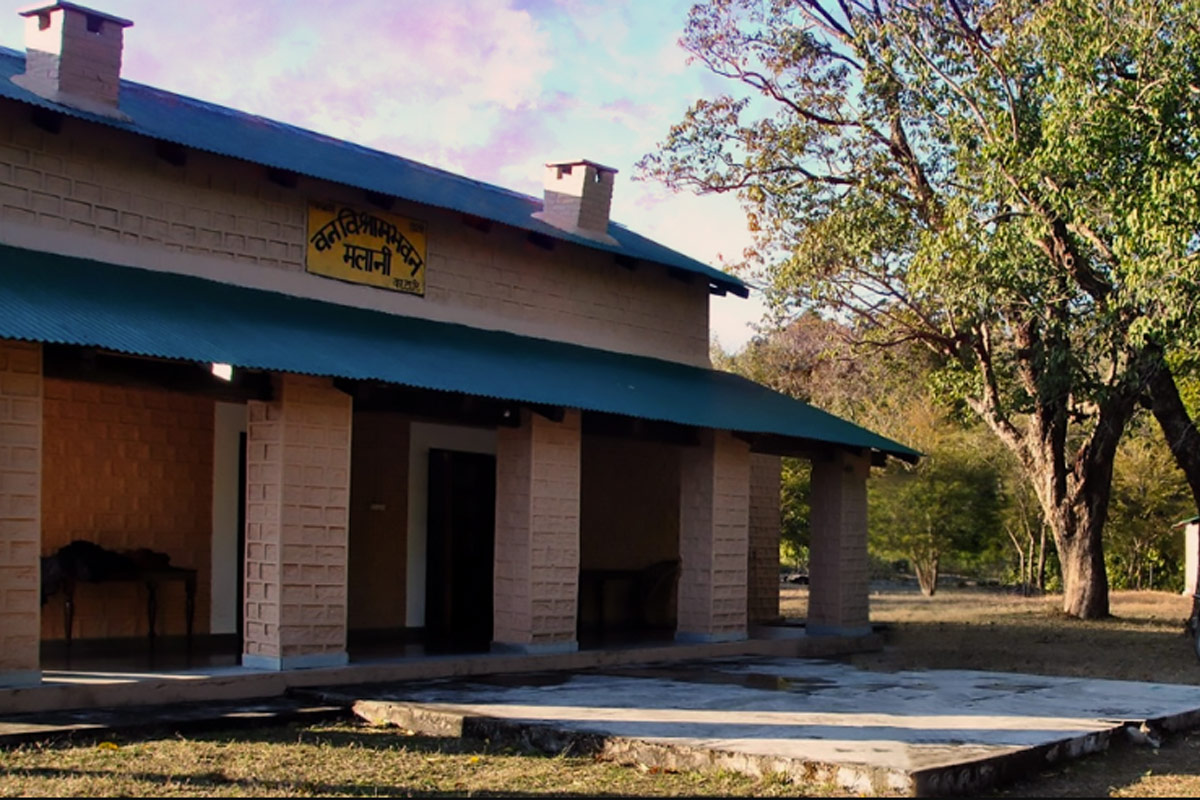 Sarpduli Forest Rest House