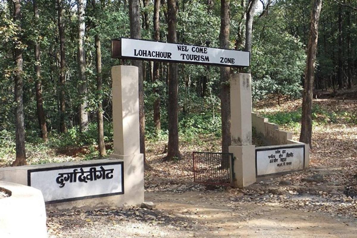 Bijrani Zone landscape