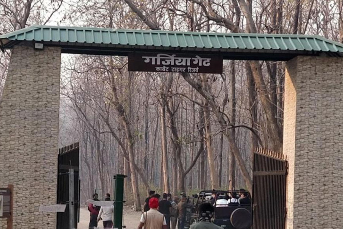 Garjia Zone landscape