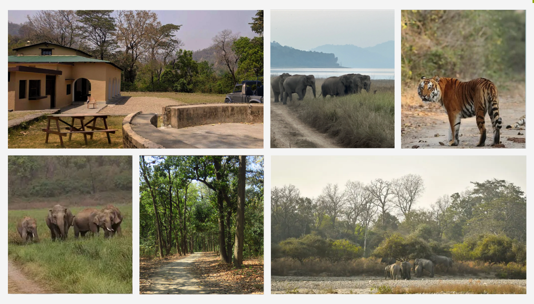 Gairal Forest Rest House